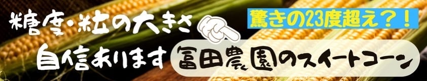 とうもろこしの糖度ランキングbest15 種類や品種 ブランド についてもご紹介 株式会社 Obotai